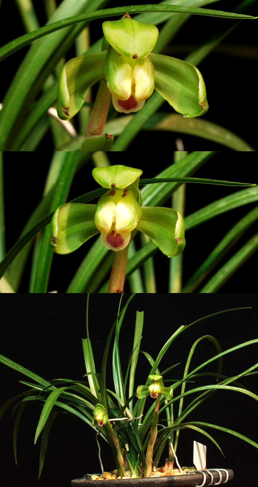 ������ ū������ �� �� �ֽ��ϴ�.