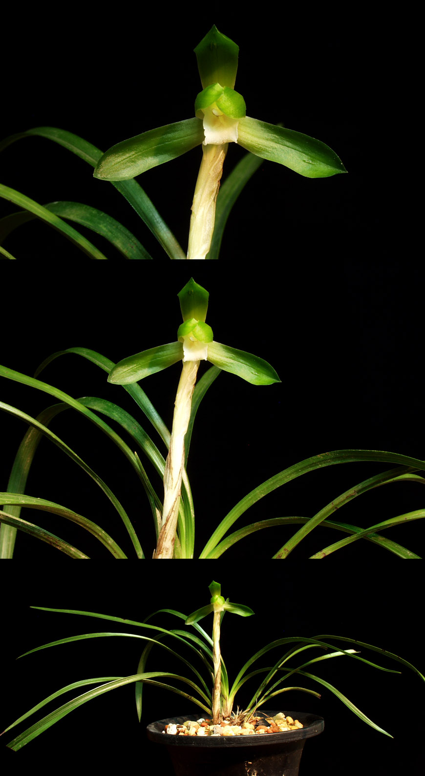 ������ ū������ �� �� �ֽ��ϴ�.