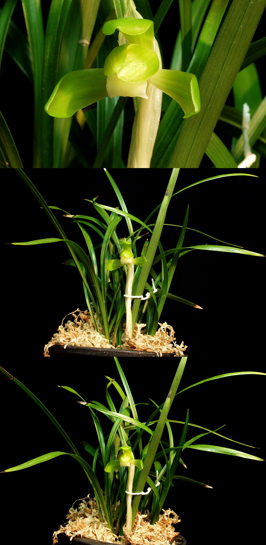 ������ ū������ �� �� �ֽ��ϴ�.