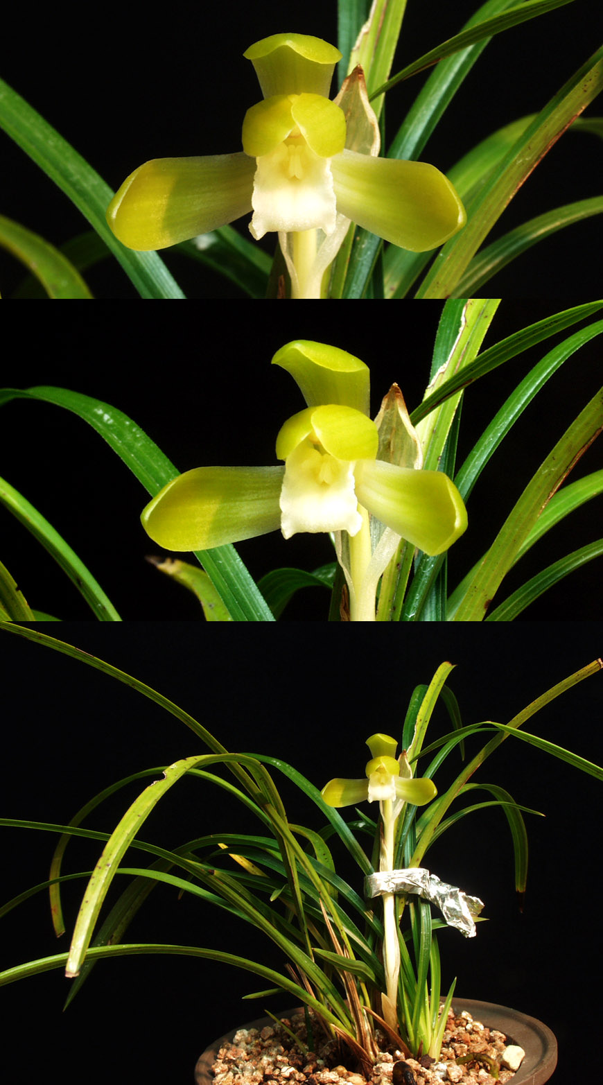 ������ ū������ �� �� �ֽ��ϴ�.