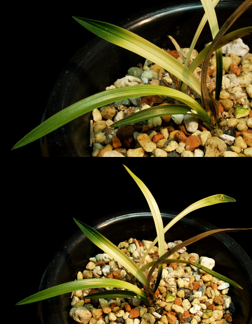 ������ ū������ �� �� �ֽ��ϴ�.