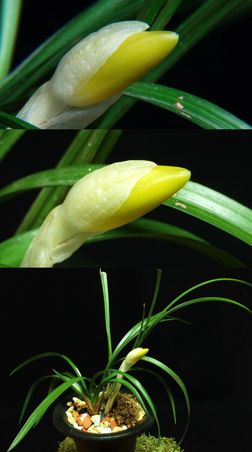 ������ ū������ �� �� �ֽ��ϴ�.