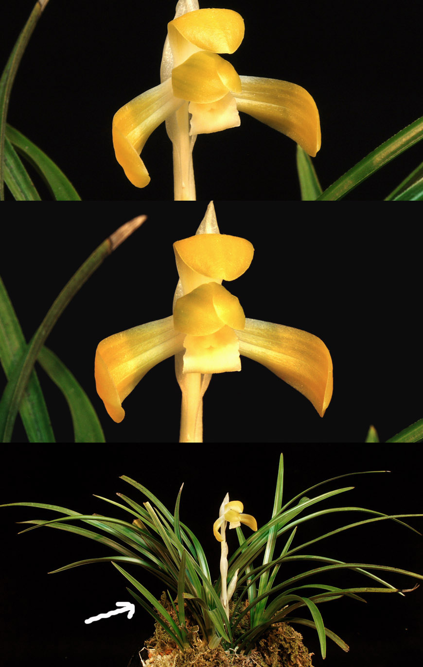 ������ ū������ �� �� �ֽ��ϴ�.