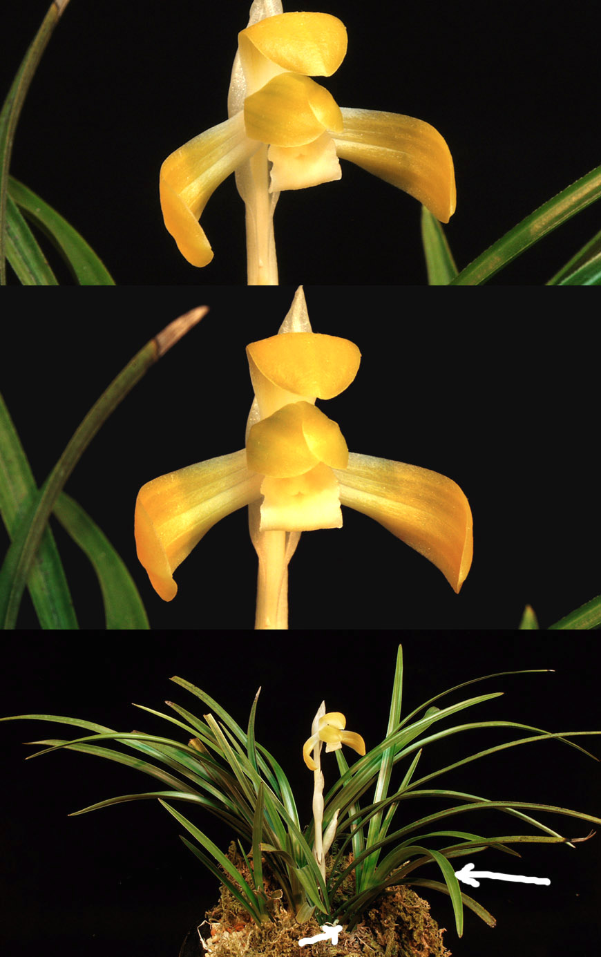 ������ ū������ �� �� �ֽ��ϴ�.