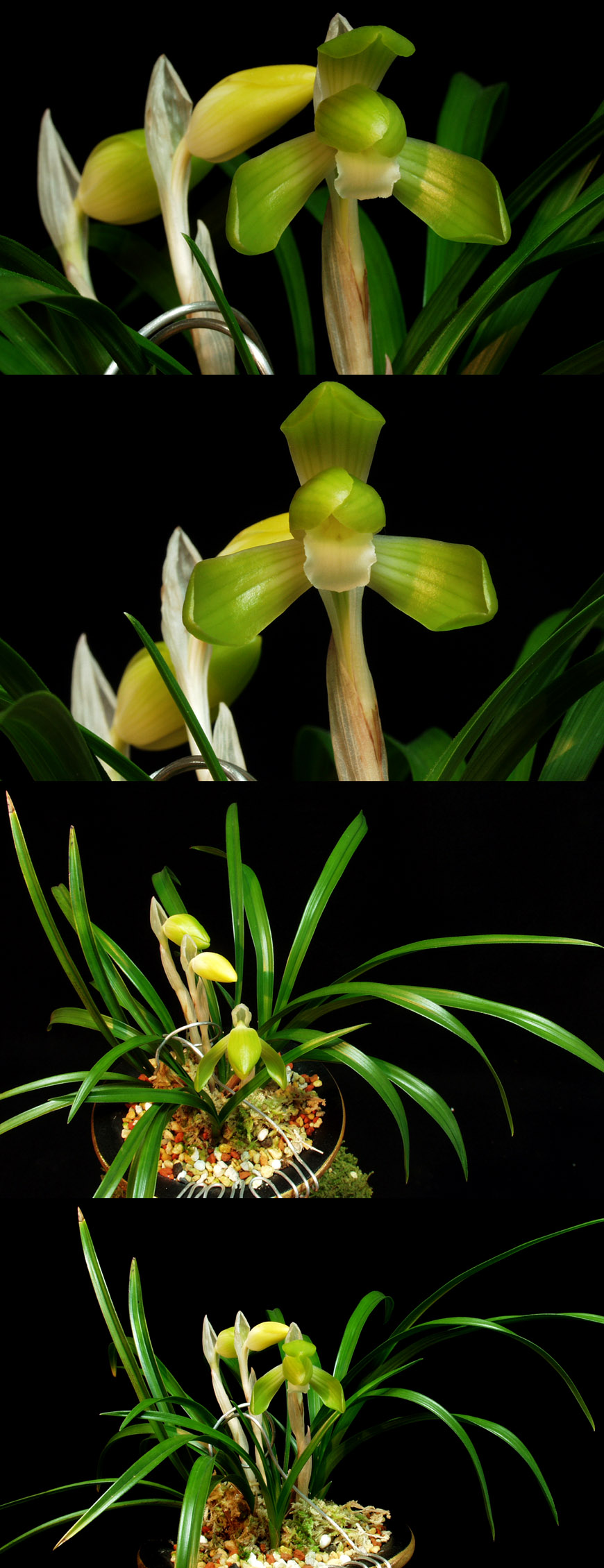 ������ ū������ �� �� �ֽ��ϴ�.