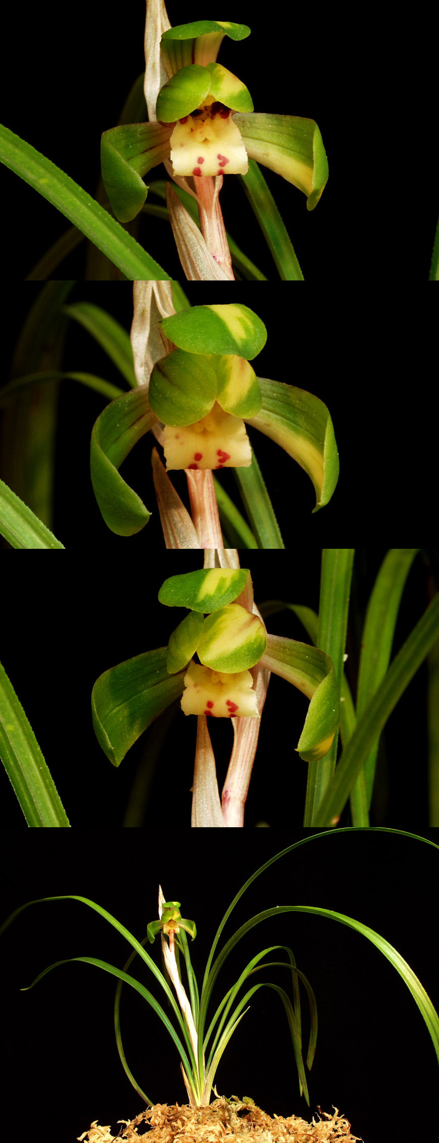 ������ ū������ �� �� �ֽ��ϴ�.