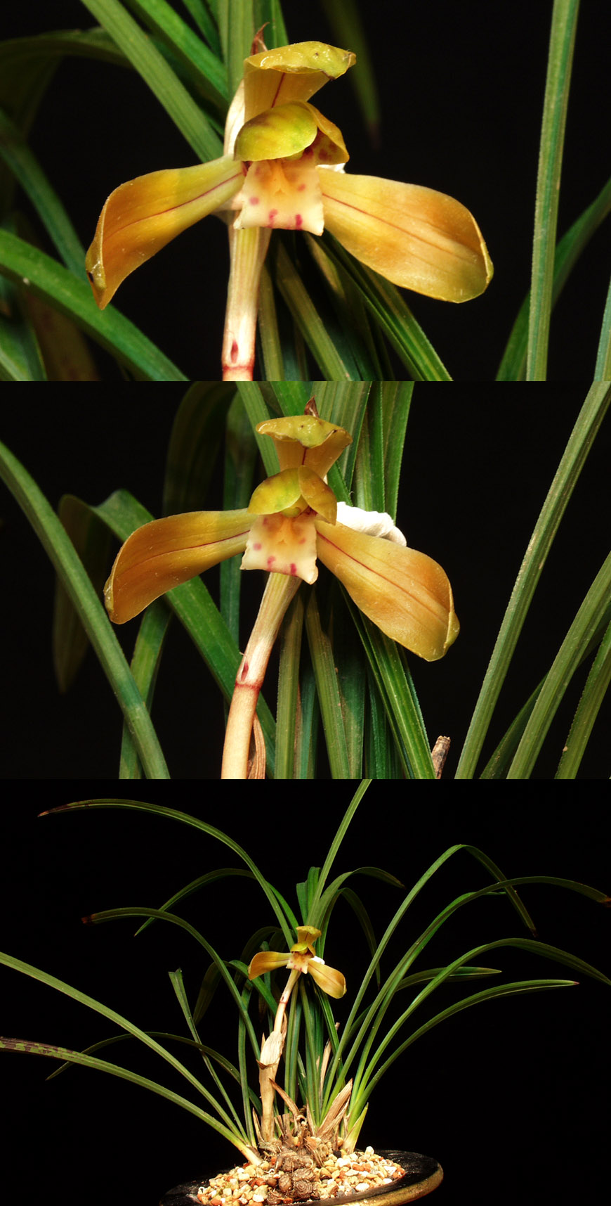 ������ ū������ �� �� �ֽ��ϴ�.