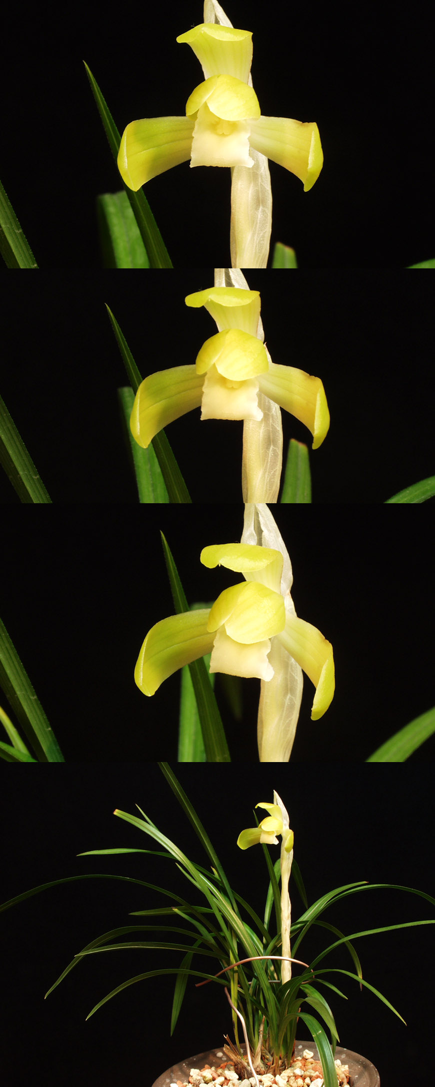 ������ ū������ �� �� �ֽ��ϴ�.