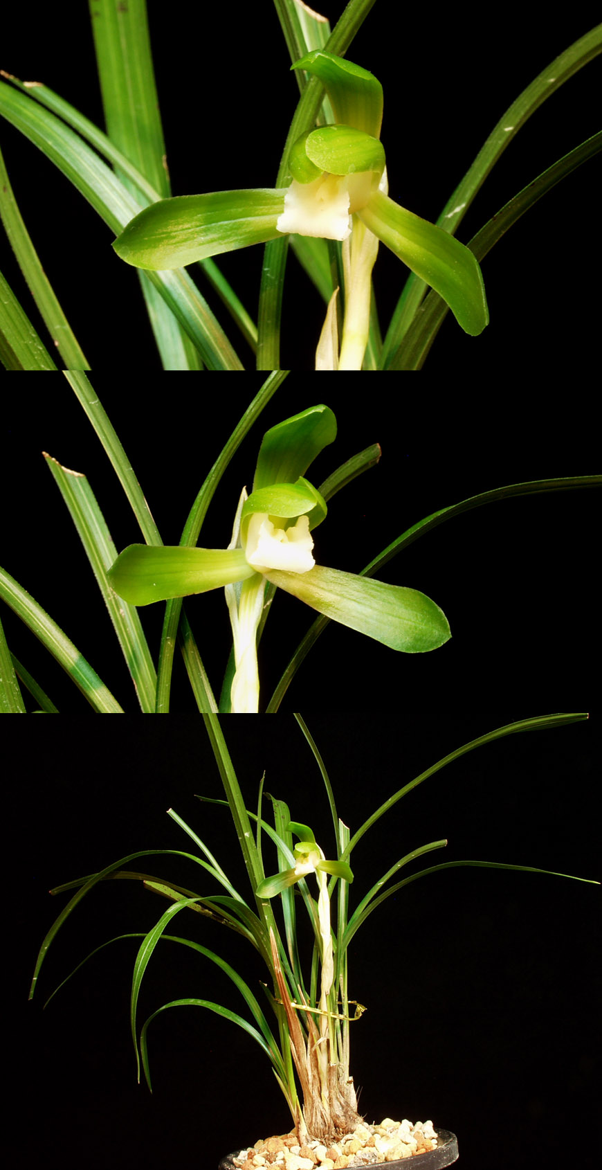 ������ ū������ �� �� �ֽ��ϴ�.