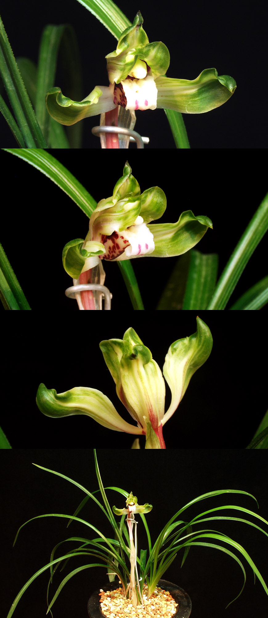 ������ ū������ �� �� �ֽ��ϴ�.