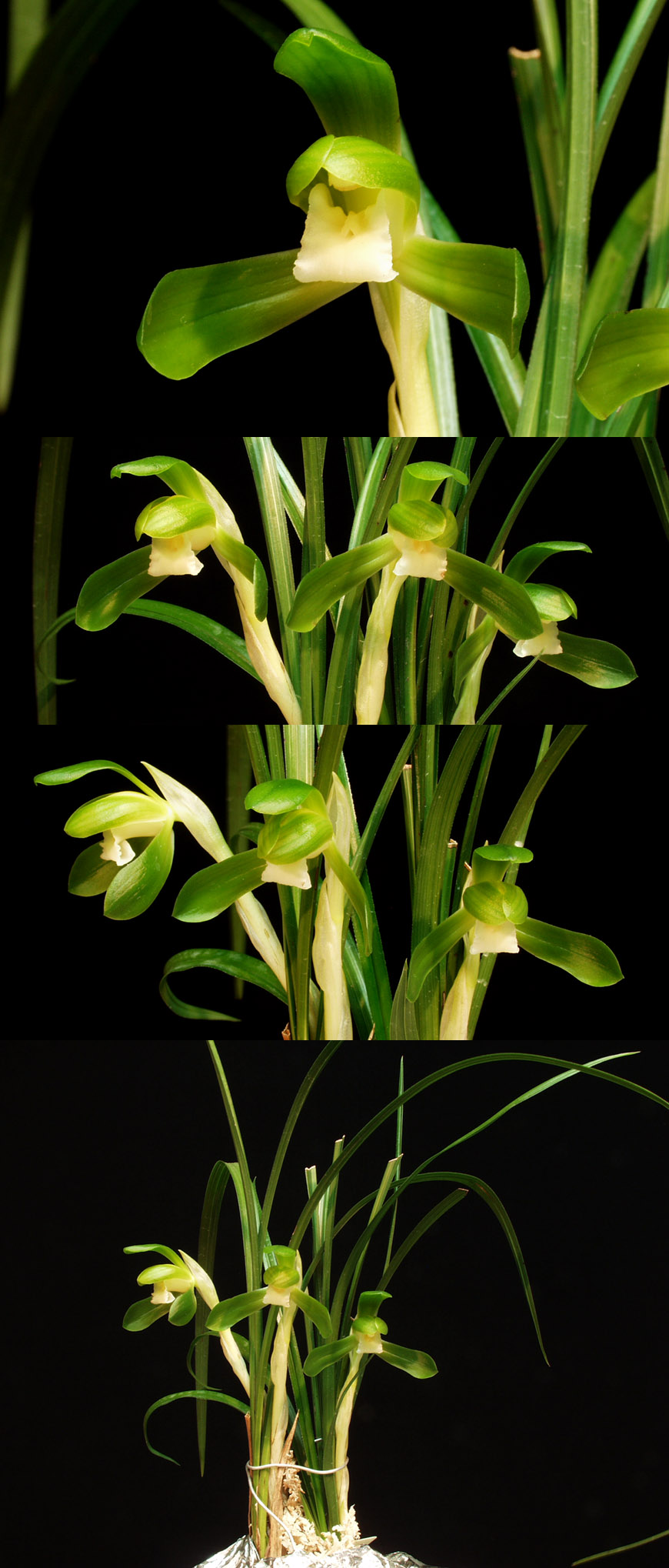 ������ ū������ �� �� �ֽ��ϴ�.