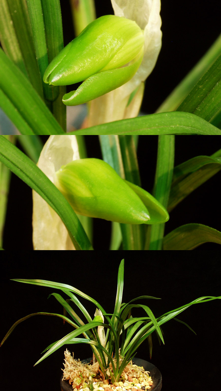 ������ ū������ �� �� �ֽ��ϴ�.