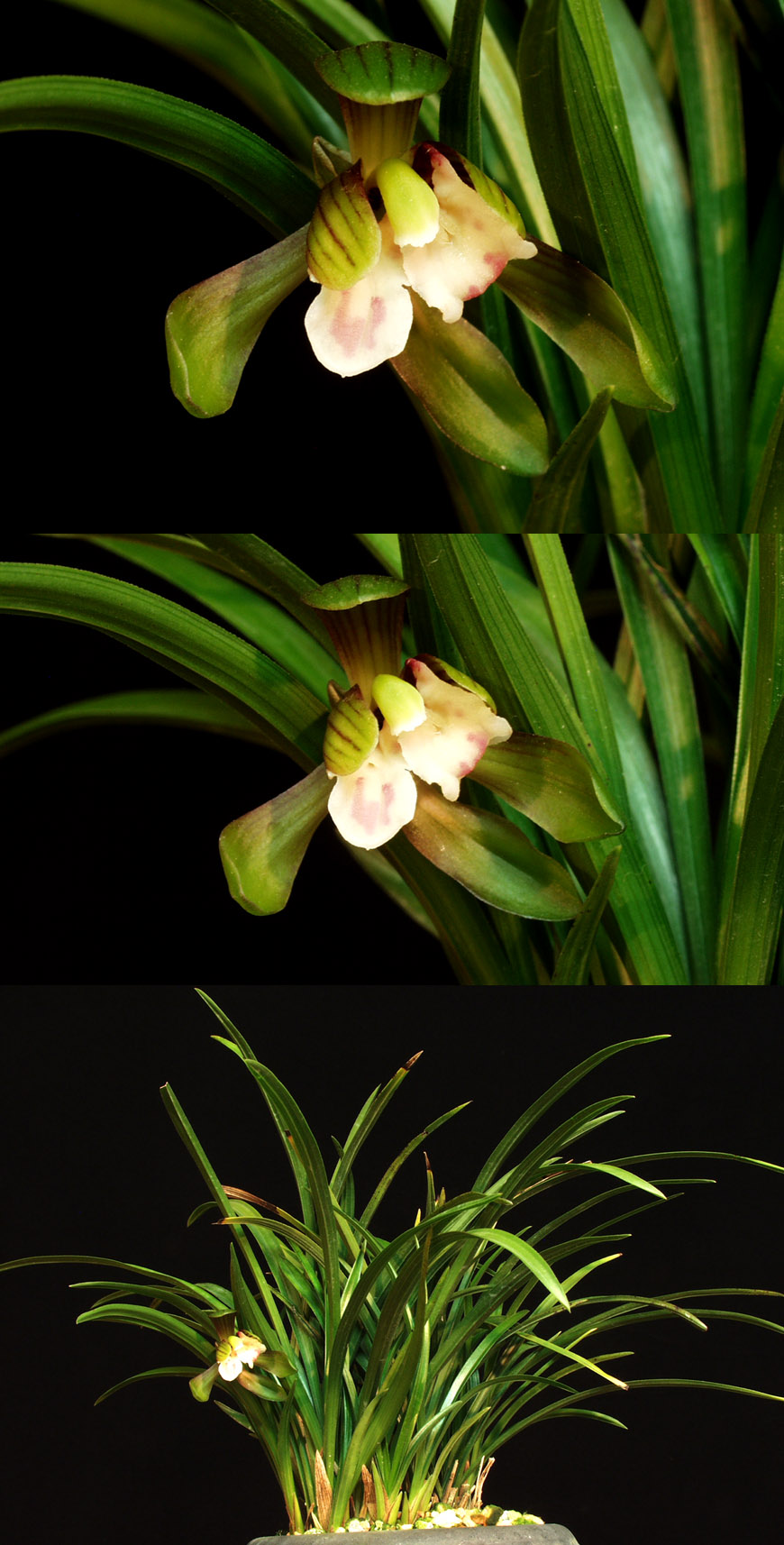 ������ ū������ �� �� �ֽ��ϴ�.