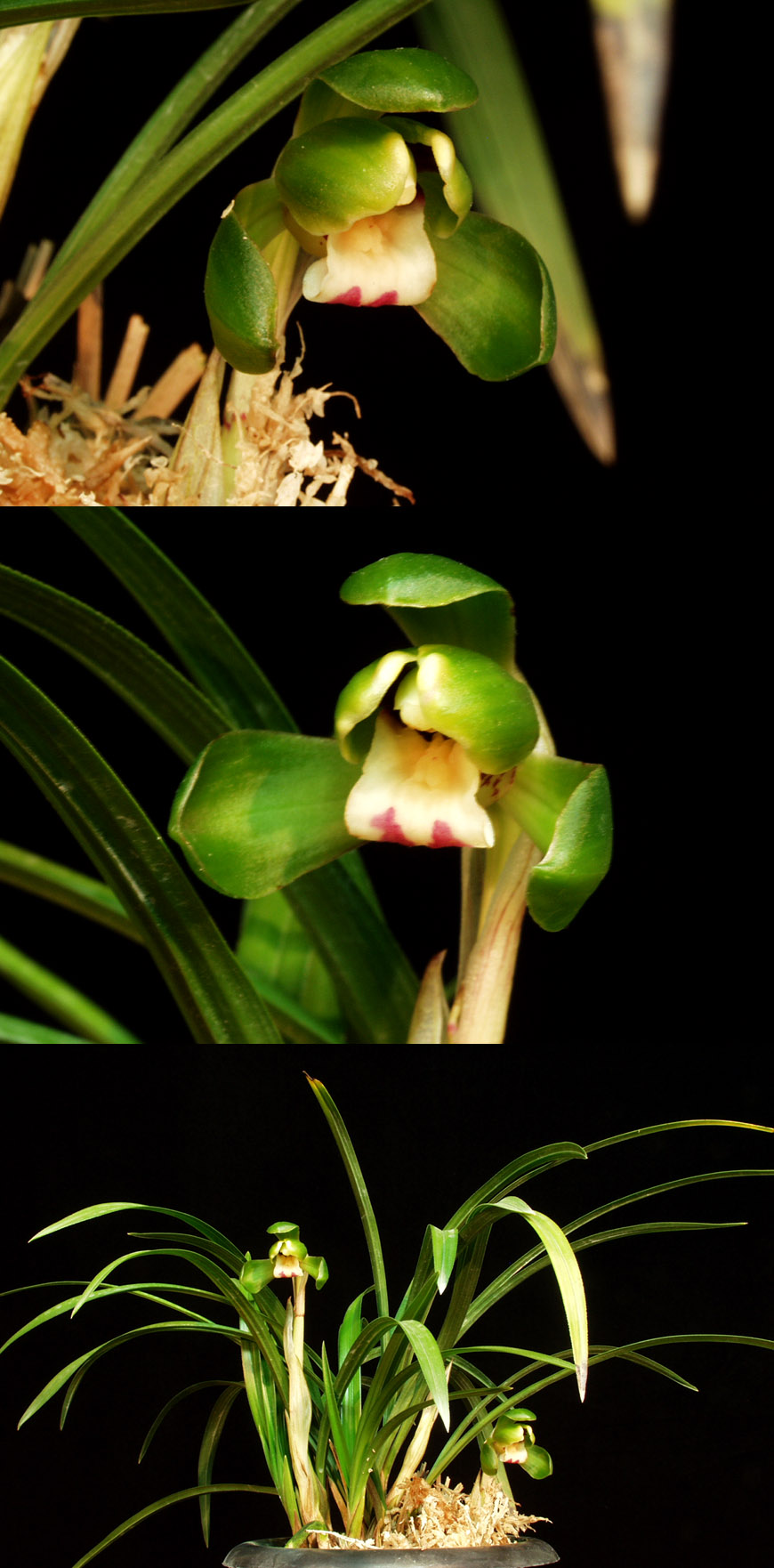 ������ ū������ �� �� �ֽ��ϴ�.