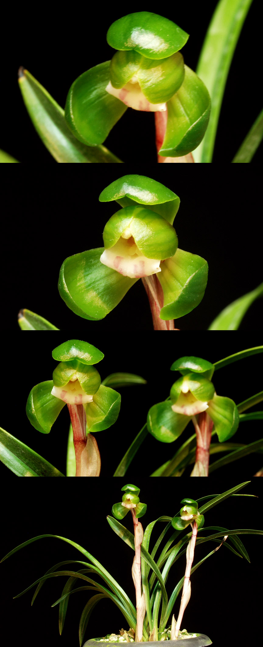 ������ ū������ �� �� �ֽ��ϴ�.