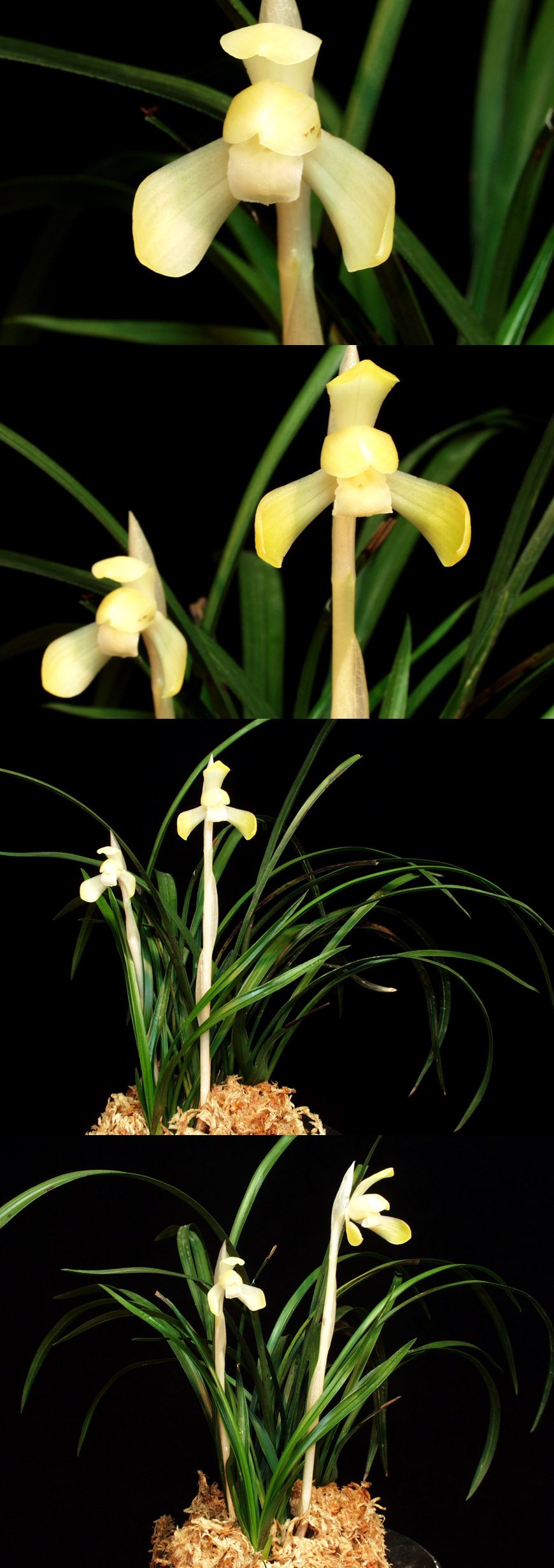 ������ ū������ �� �� �ֽ��ϴ�.