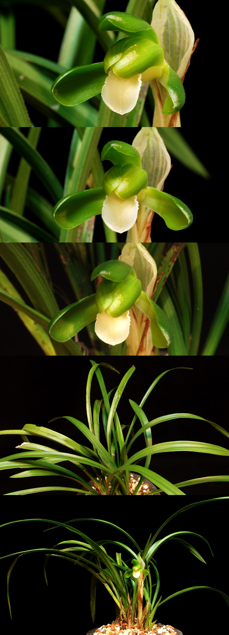 ������ ū������ �� �� �ֽ��ϴ�.