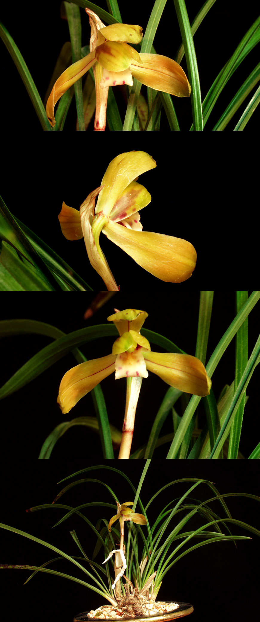 ������ ū������ �� �� �ֽ��ϴ�.