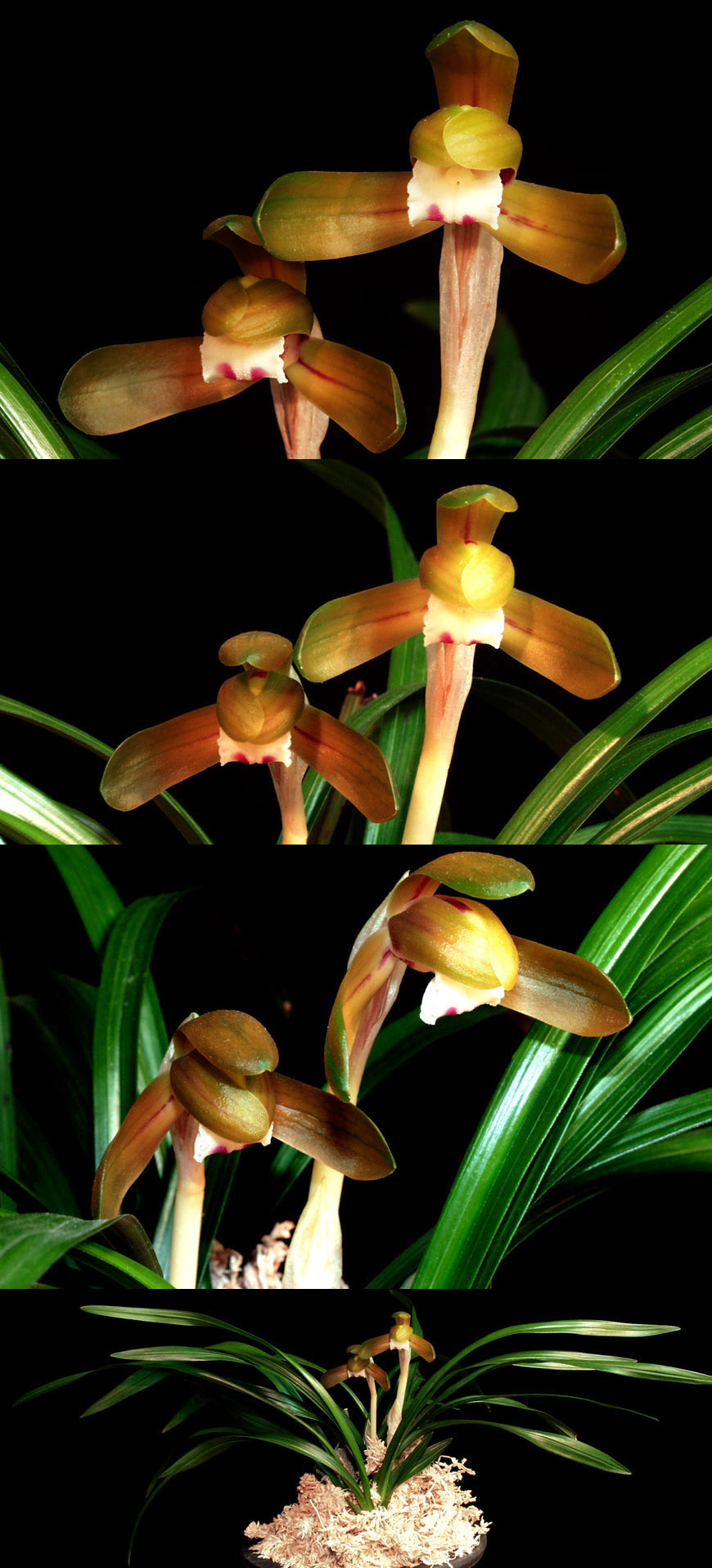 ������ ū������ �� �� �ֽ��ϴ�.