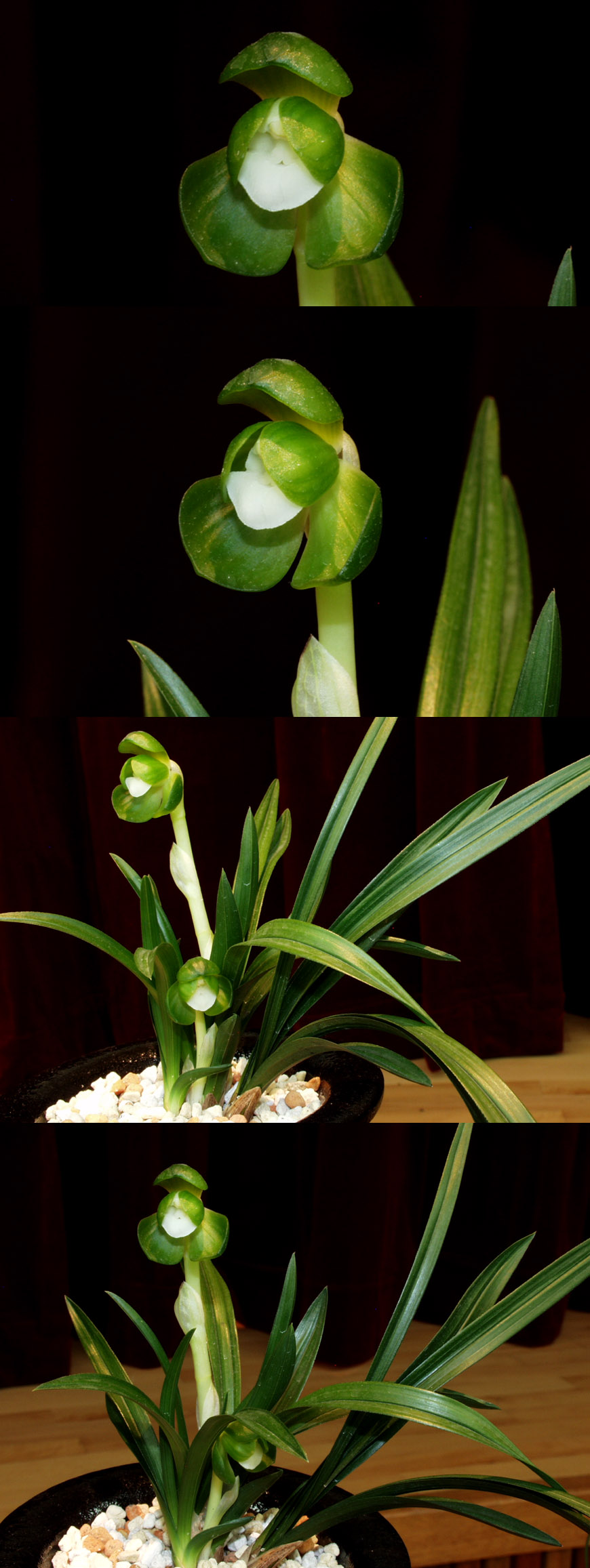 ������ ū������ �� �� �ֽ��ϴ�.