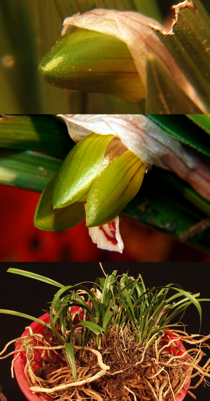 ������ ū������ �� �� �ֽ��ϴ�.