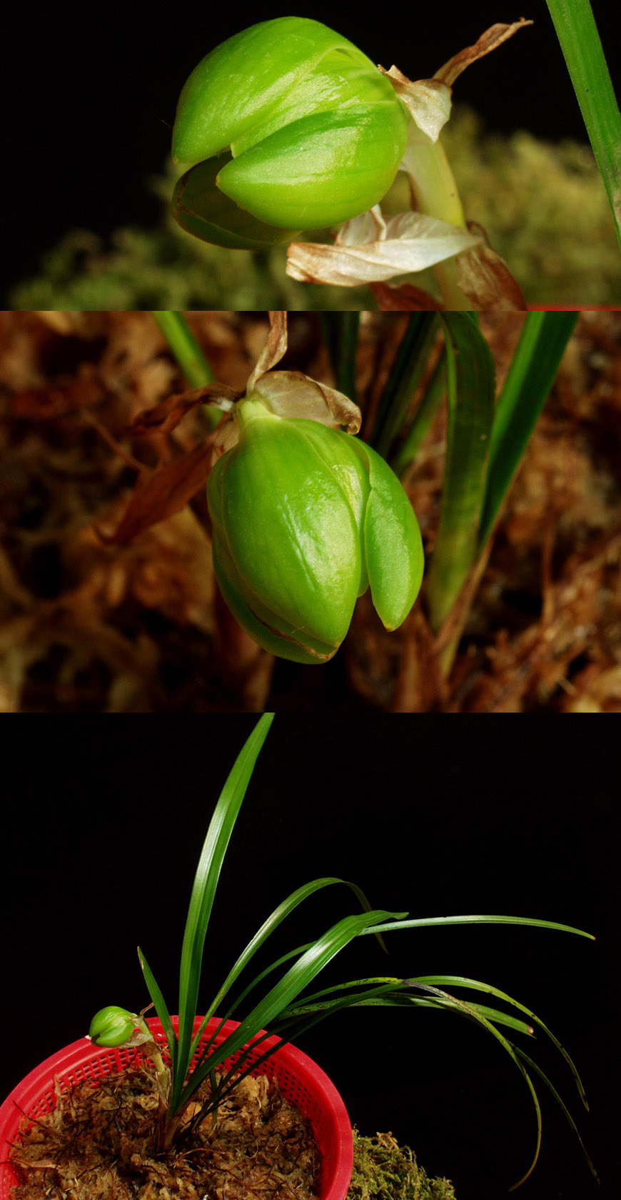 ������ ū������ �� �� �ֽ��ϴ�.