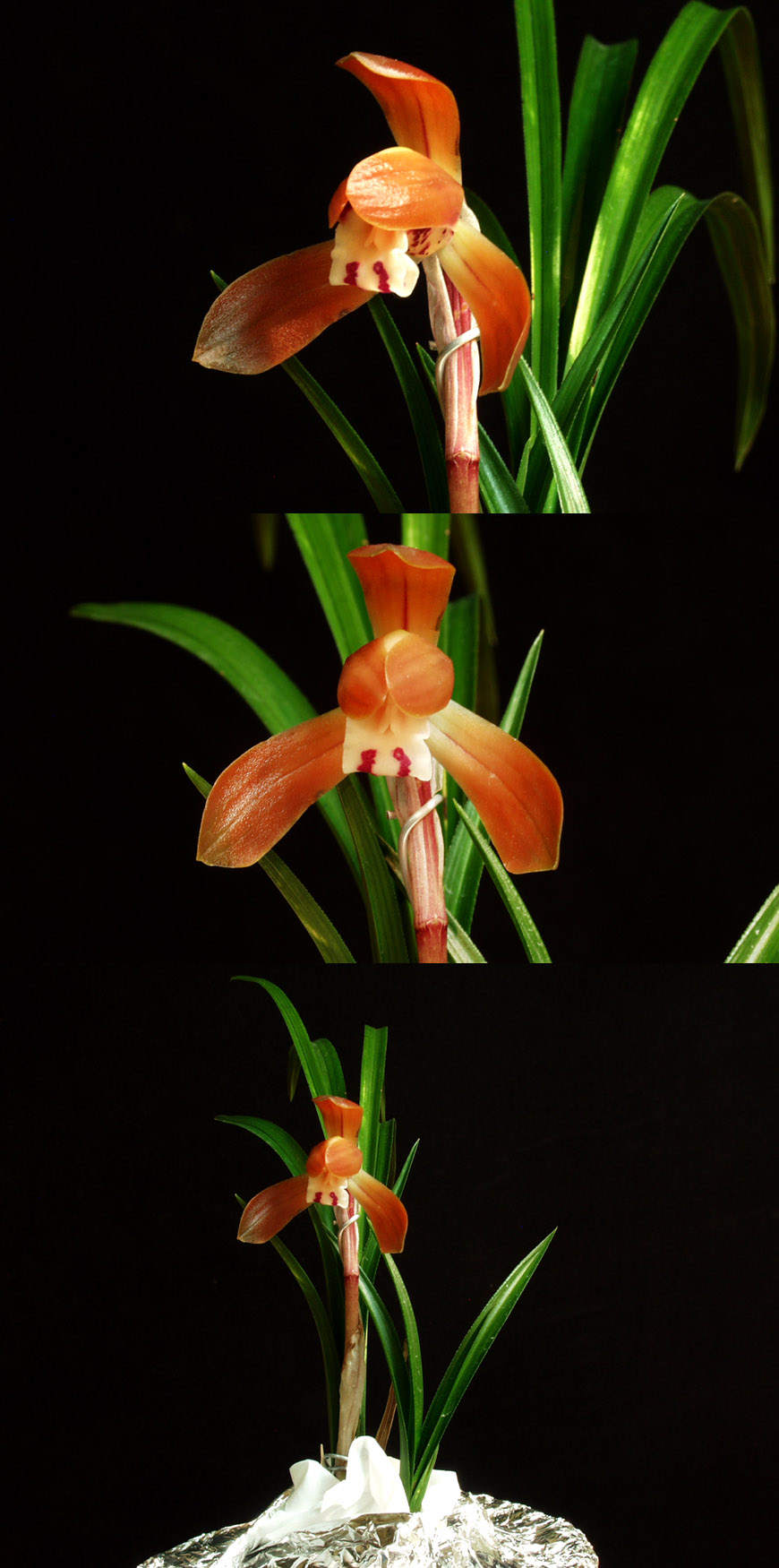 ������ ū������ �� �� �ֽ��ϴ�.