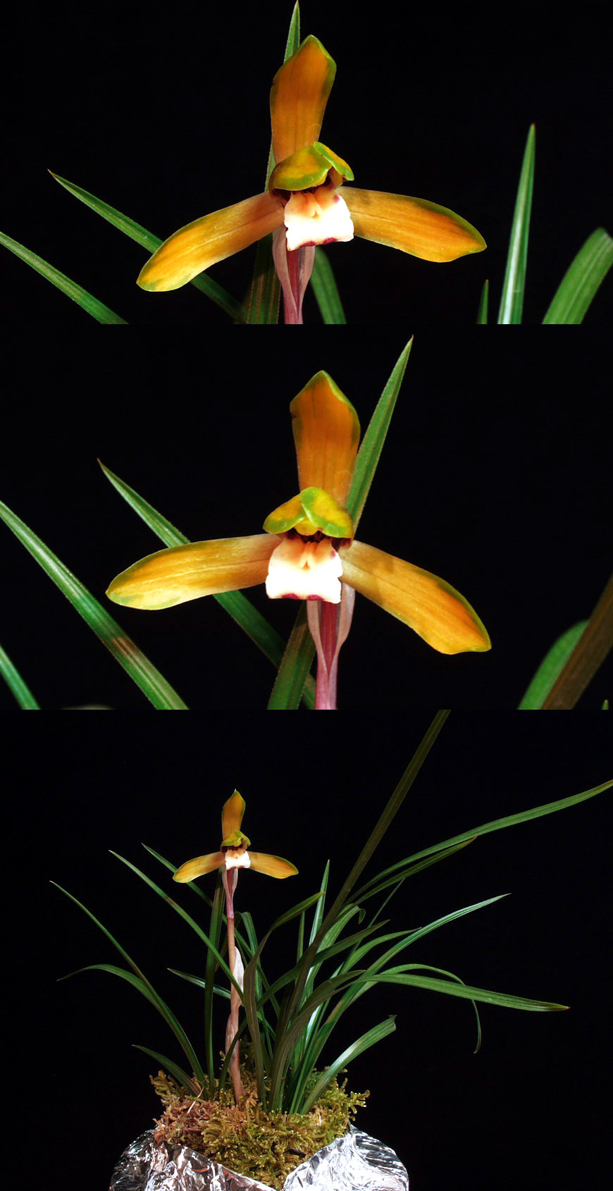 ������ ū������ �� �� �ֽ��ϴ�.