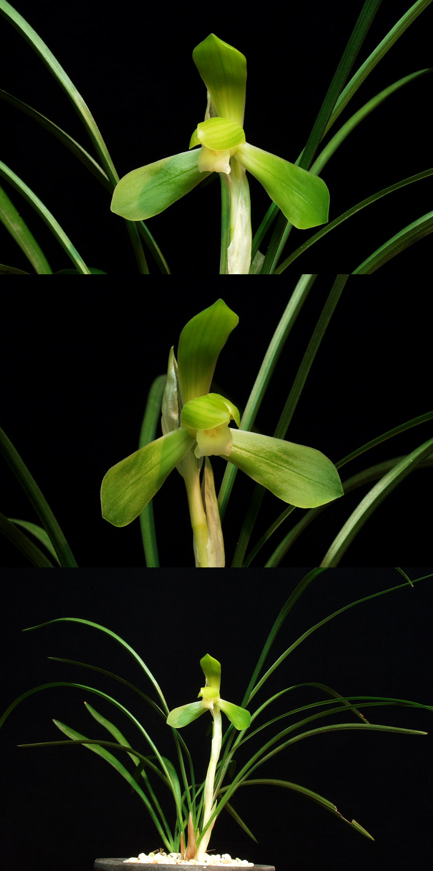 ������ ū������ �� �� �ֽ��ϴ�.