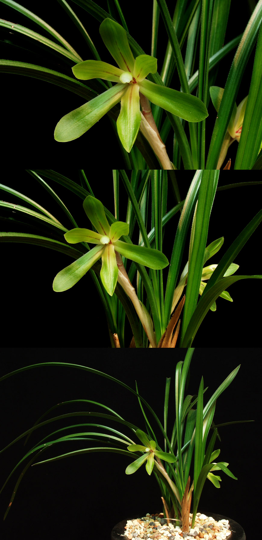 ������ ū������ �� �� �ֽ��ϴ�.