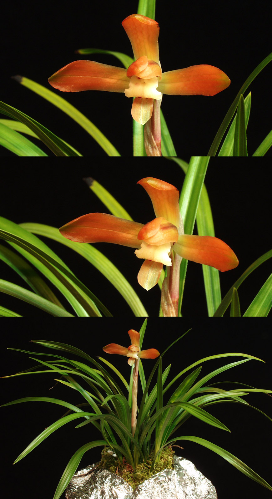 ������ ū������ �� �� �ֽ��ϴ�.