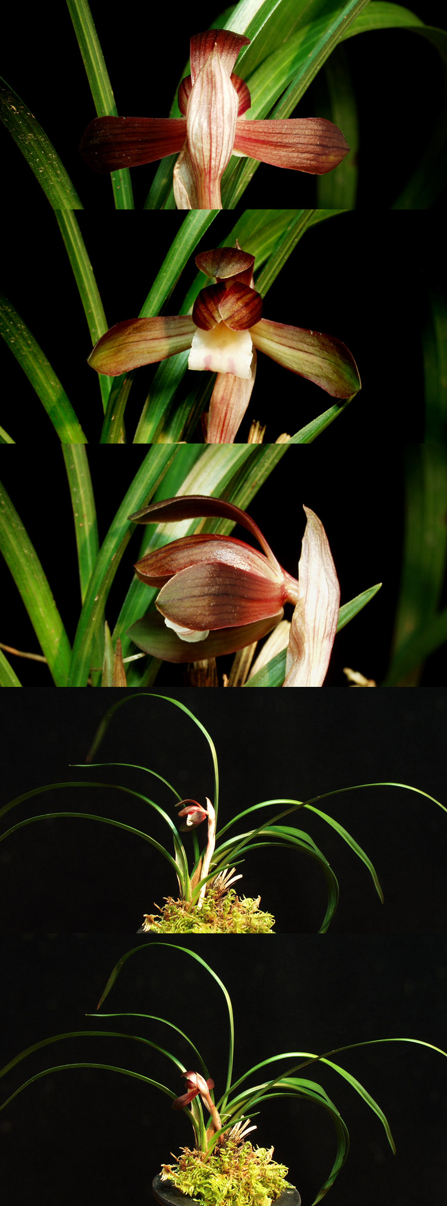 ������ ū������ �� �� �ֽ��ϴ�.