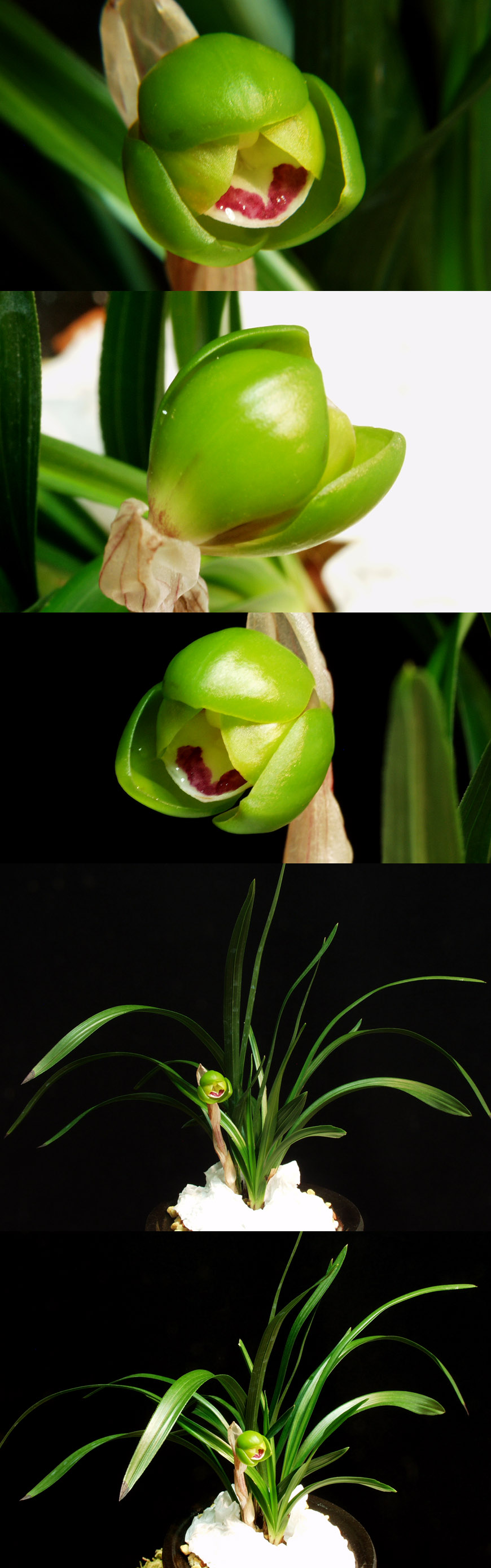 ������ ū������ �� �� �ֽ��ϴ�.