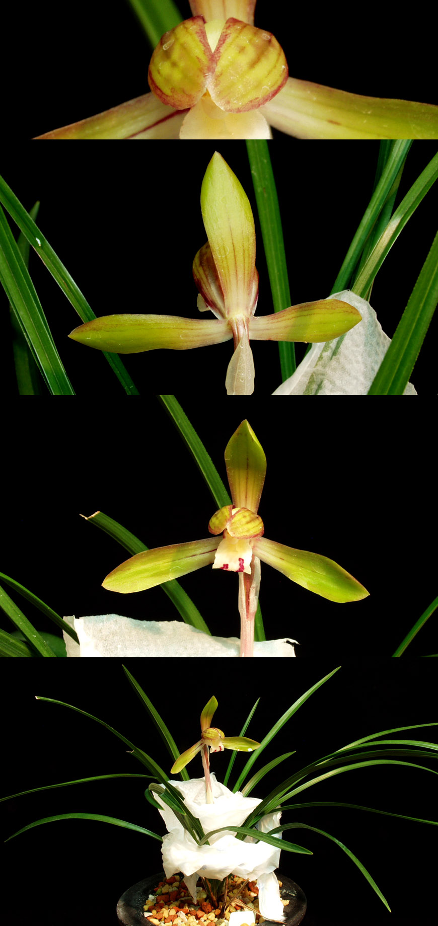 ������ ū������ �� �� �ֽ��ϴ�.