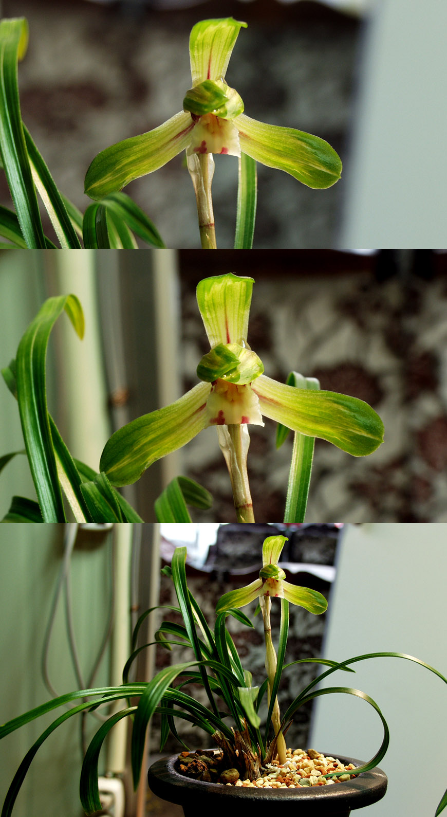 ������ ū������ �� �� �ֽ��ϴ�.