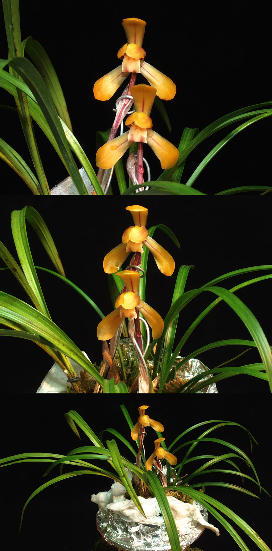 ������ ū������ �� �� �ֽ��ϴ�.