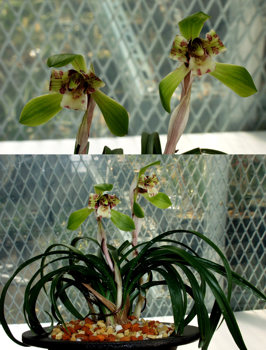 ������ ū������ �� �� �ֽ��ϴ�.