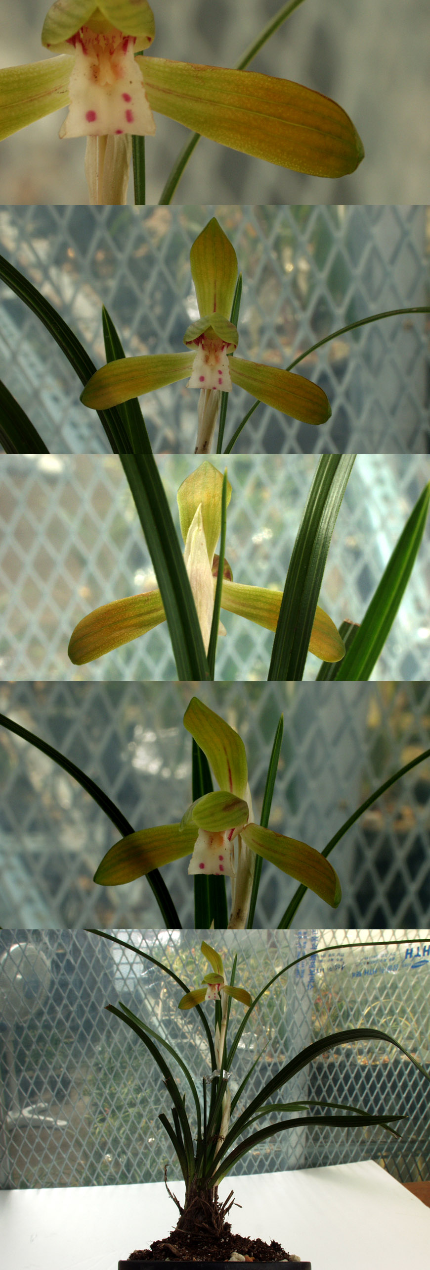 ������ ū������ �� �� �ֽ��ϴ�.