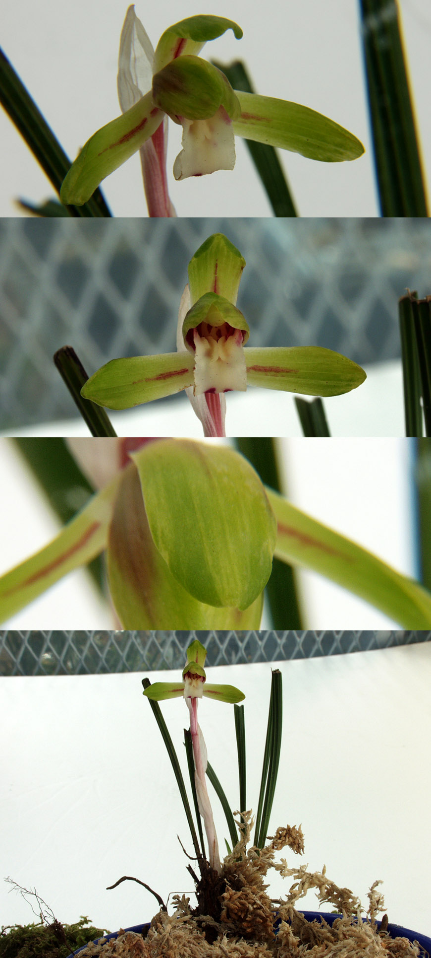 ������ ū������ �� �� �ֽ��ϴ�.