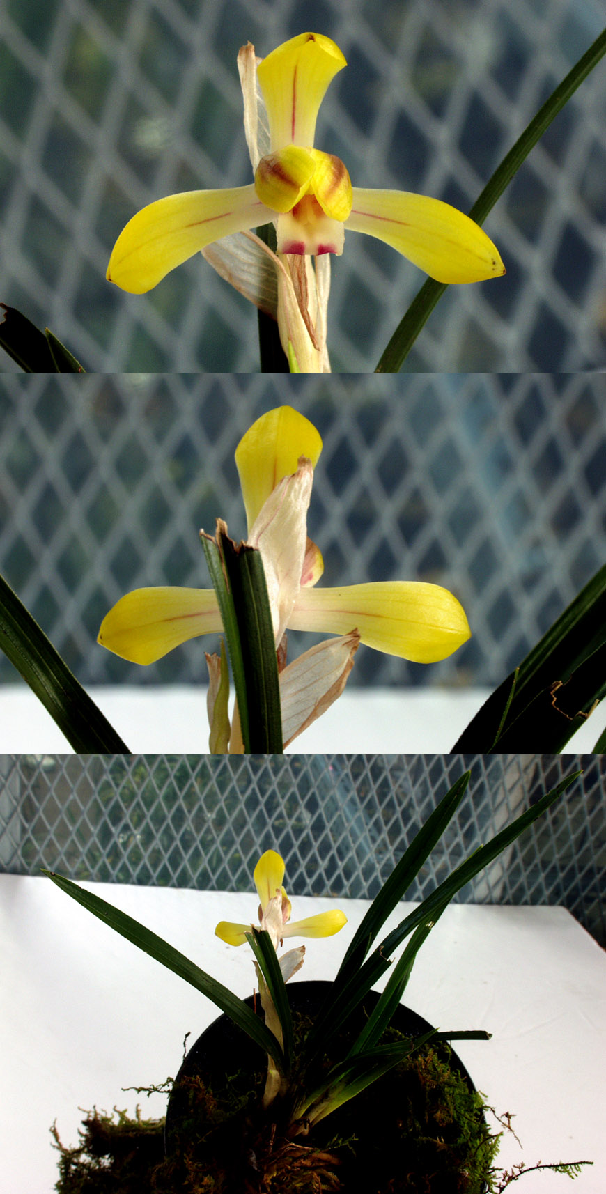 ������ ū������ �� �� �ֽ��ϴ�.