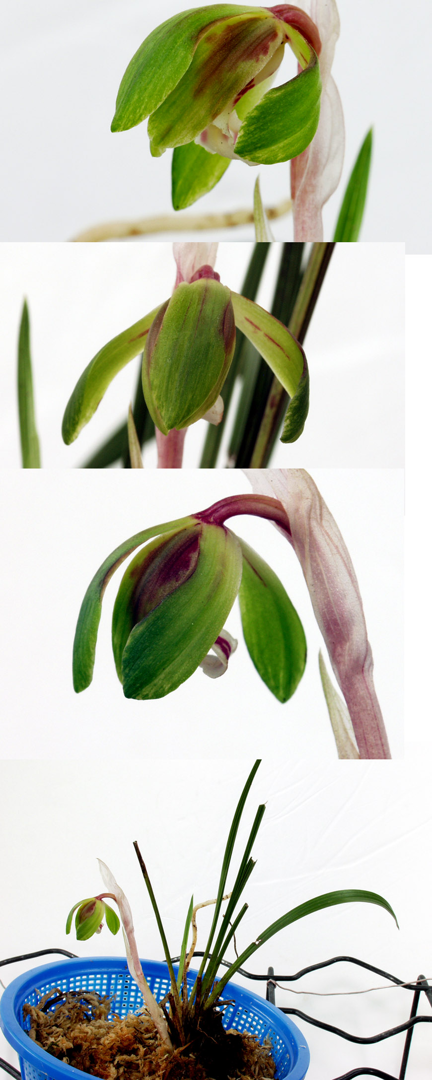 ������ ū������ �� �� �ֽ��ϴ�.