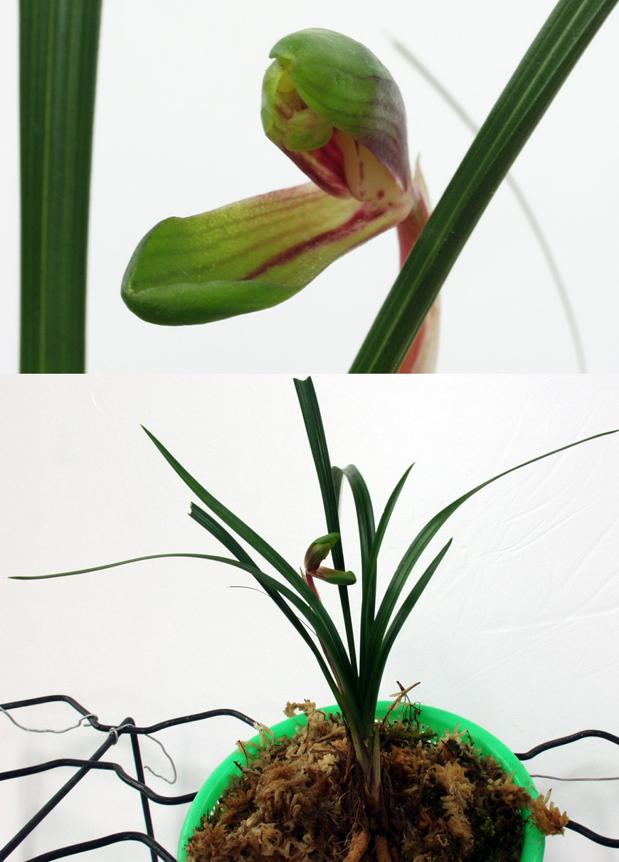 ������ ū������ �� �� �ֽ��ϴ�.