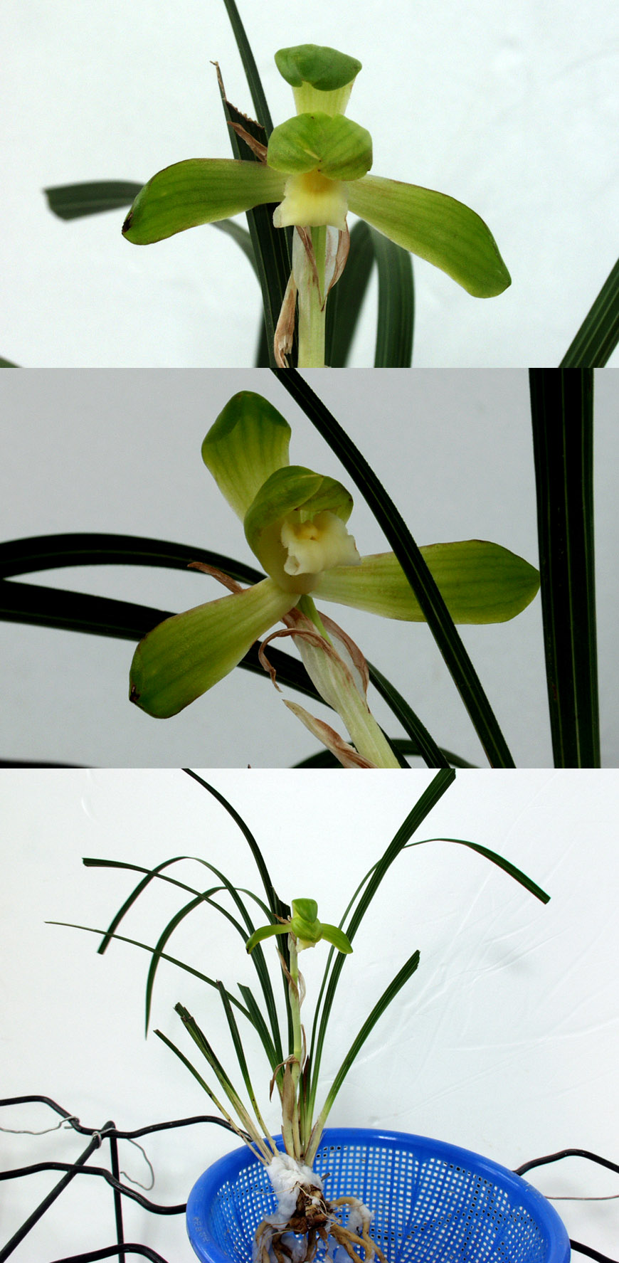 ������ ū������ �� �� �ֽ��ϴ�.