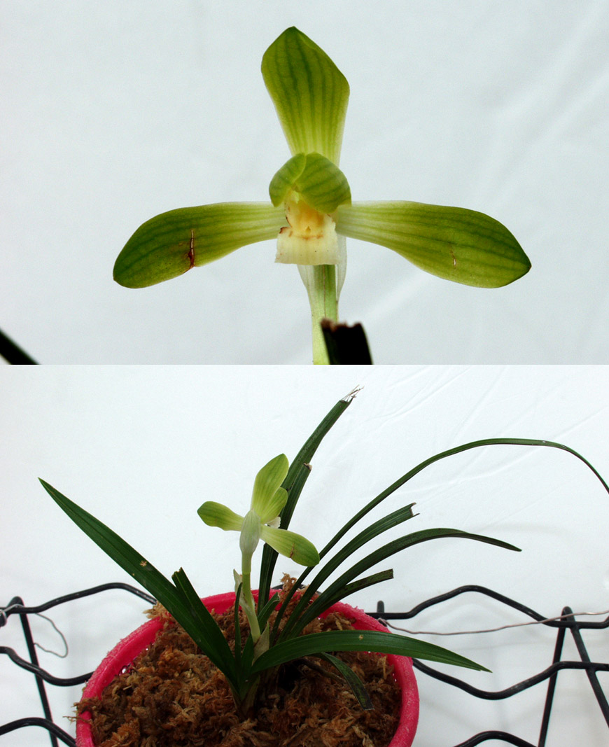 ������ ū������ �� �� �ֽ��ϴ�.