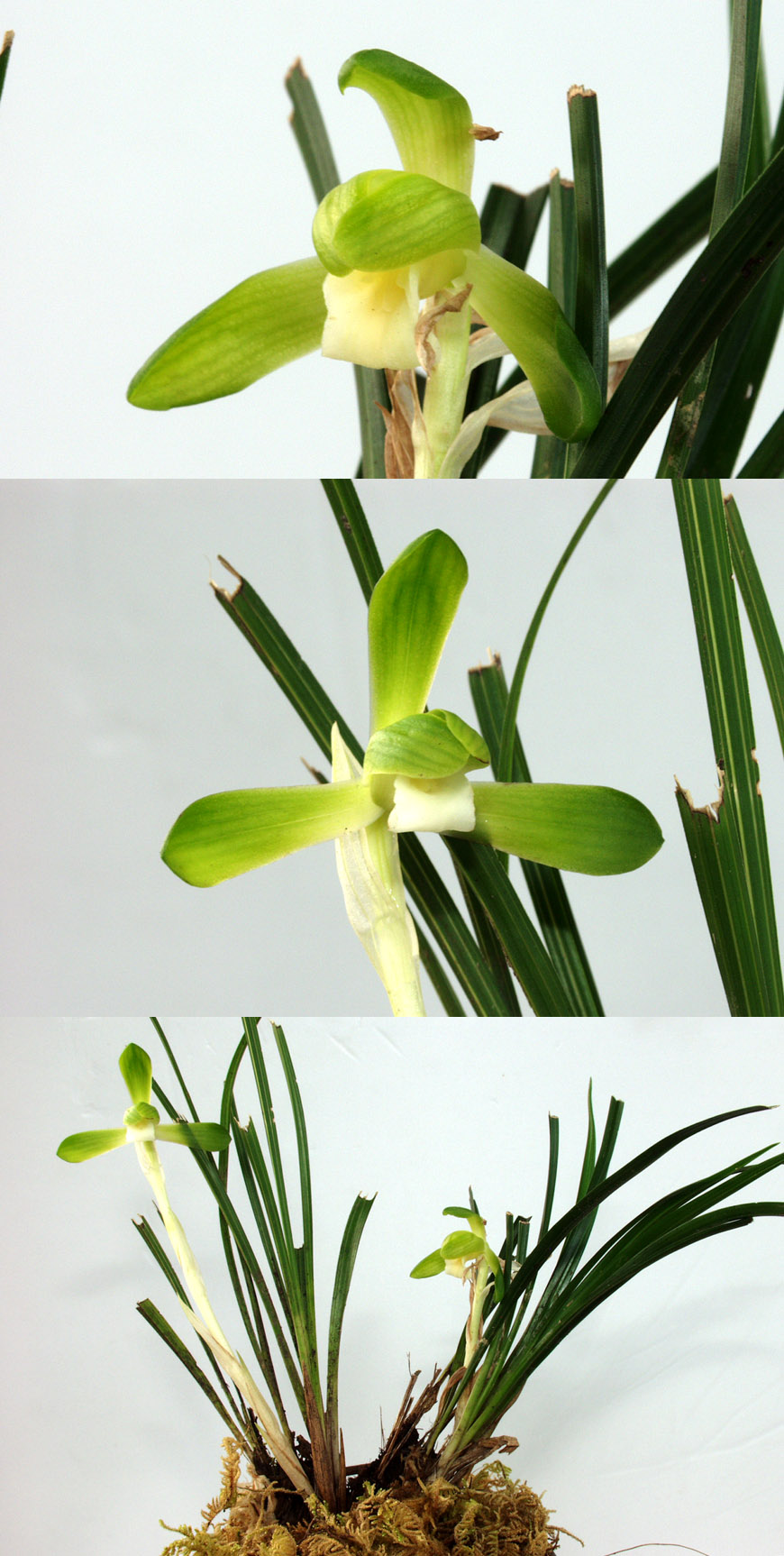 ������ ū������ �� �� �ֽ��ϴ�.