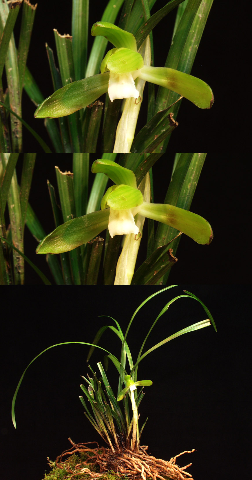 ������ ū������ �� �� �ֽ��ϴ�.