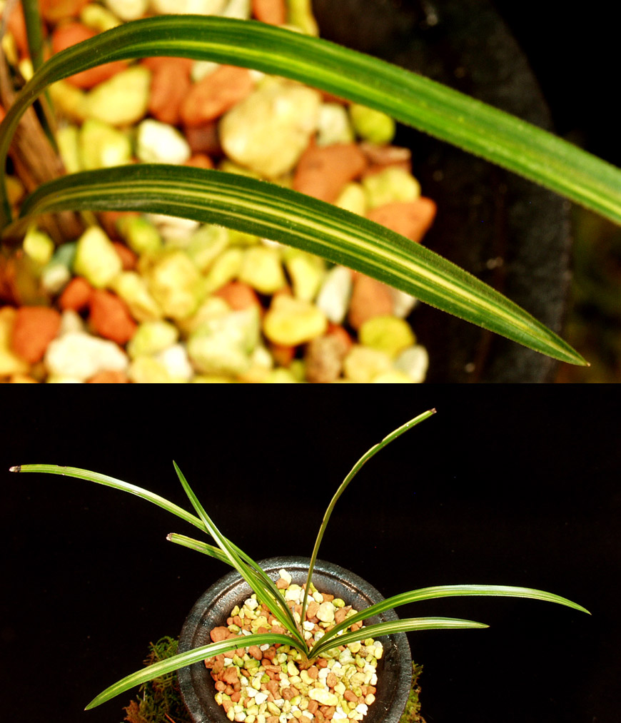 ������ ū������ �� �� �ֽ��ϴ�.