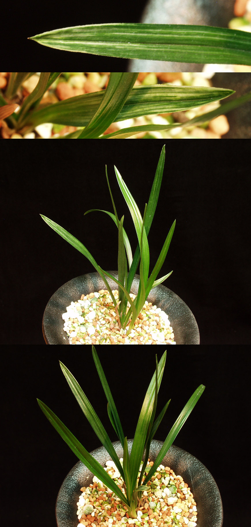 ������ ū������ �� �� �ֽ��ϴ�.