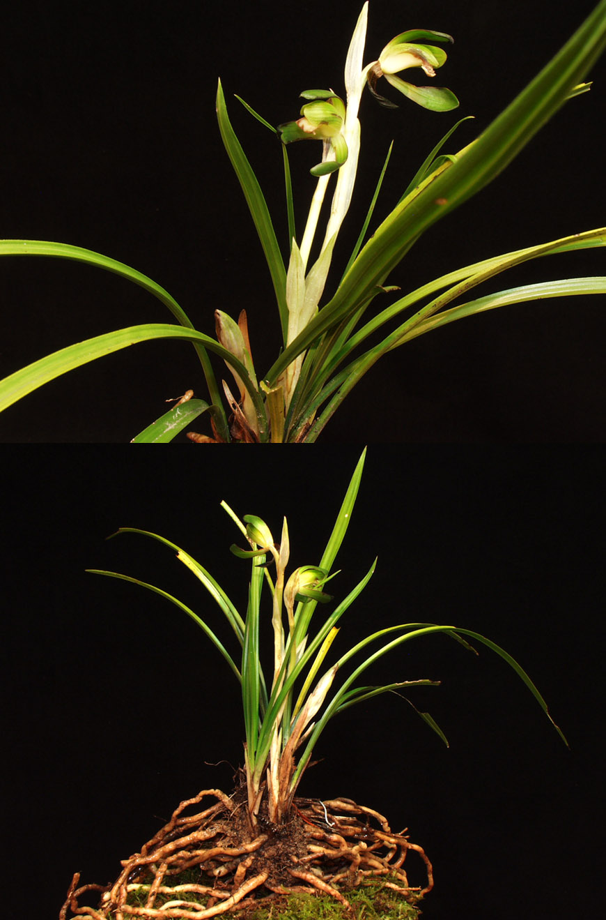 ������ ū������ �� �� �ֽ��ϴ�.