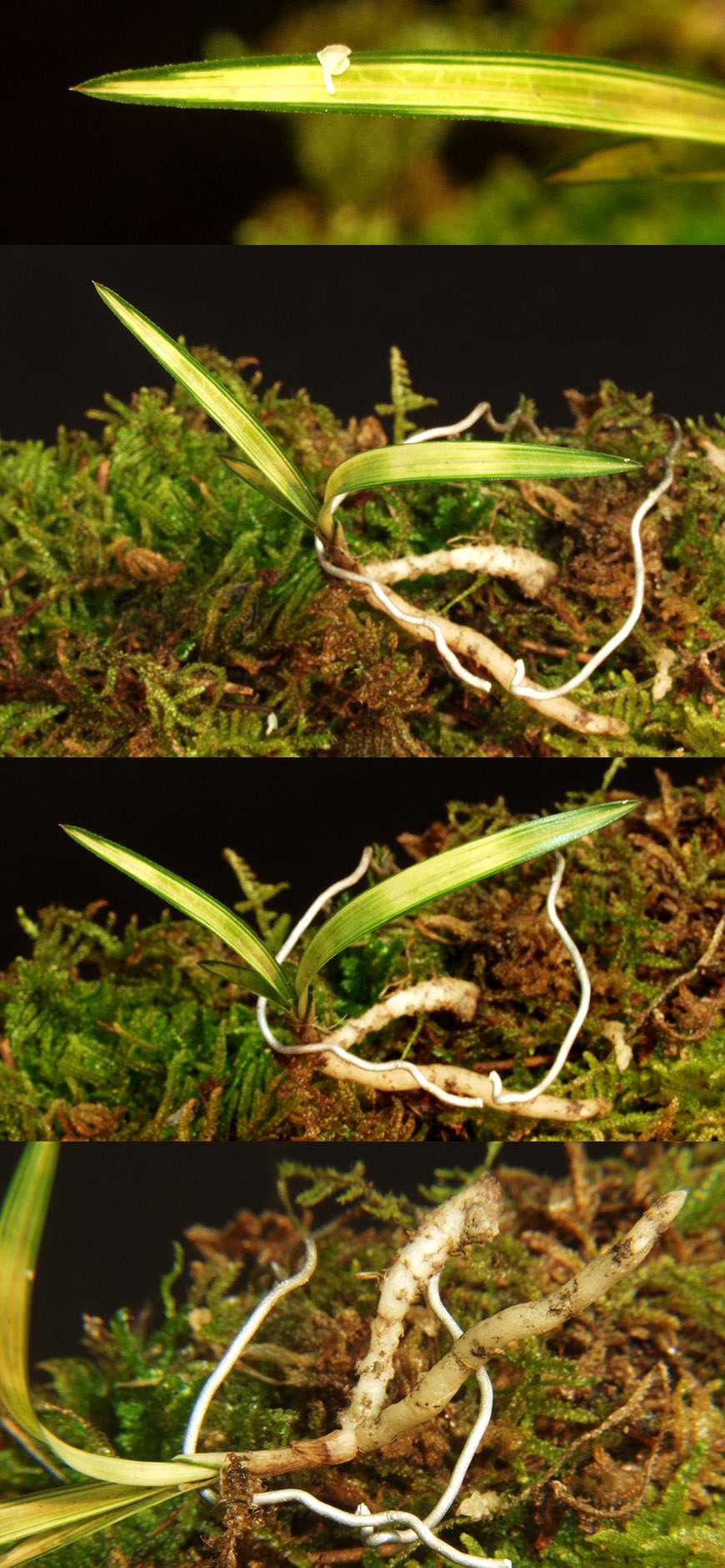 ������ ū������ �� �� �ֽ��ϴ�.